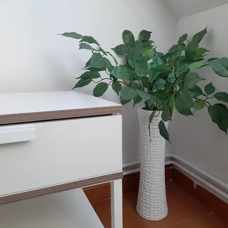 Apartment Atico Ciudadela *